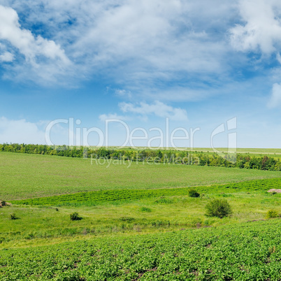 Hilly green field and windmill on blue sky background.