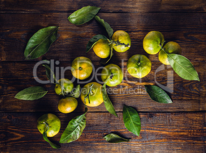 Tangerines with Leaves