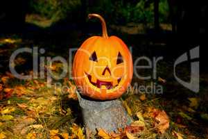 Pumpkin-head against a background of an autumn forest.