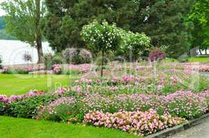 Summer park with beautiful flower beds and lawn.
