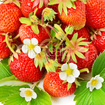 Bright background of appetizing strawberries.