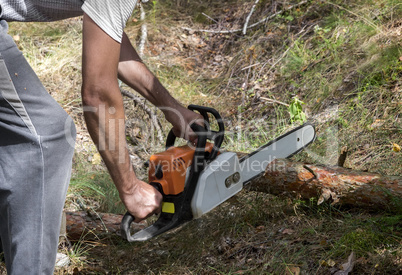 A man sawing a tree with a chainsaw in the woods.