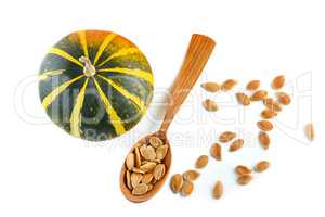 Seeds and pumpkin fruits isolated on white background. top view