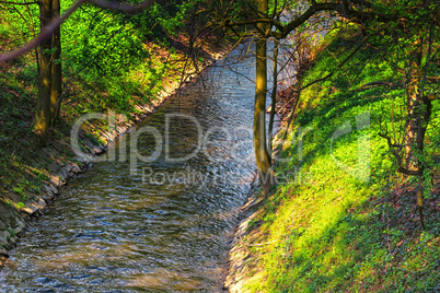 Mountain stream in the green forest in spring