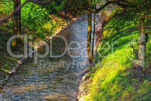 Mountain stream in the green forest in spring