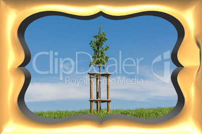 3 D picture frame