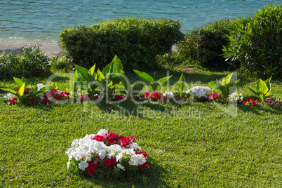 Nice view of flowerbed in the park