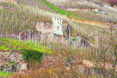 Zeltinger sundial in the wine-growing town on the Mosel