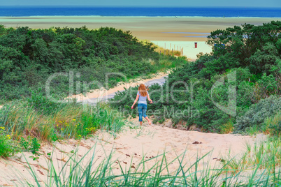 Dunes Panorama on the North Sea coast in Holland