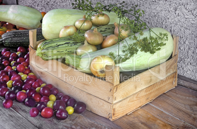 Autumn harvest: zucchini, yellow and red plums, onions