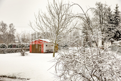 Winter in the garden