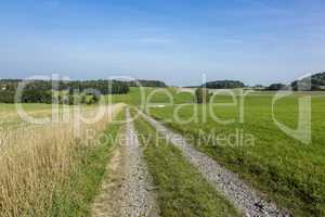 Cultivated Landscape with road