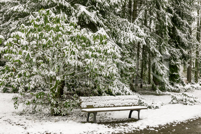 Park bench in winter