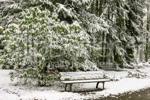 Park bench in winter