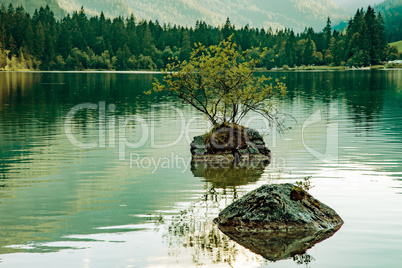 Lake Hintersee in the Bavarian Alps near Berchtesgaden