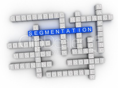 3d Segmentation word cloud collage, business concept background