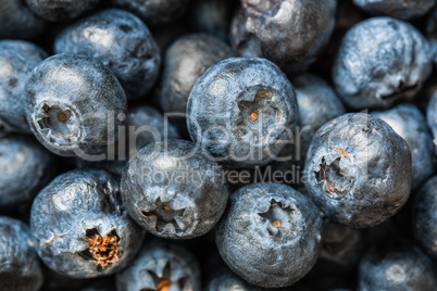 Blueberries closeup background