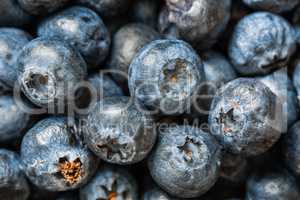 Blueberries closeup background