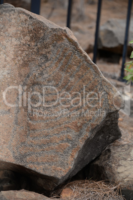 Petroglyphen am Bejenado auf La Palma