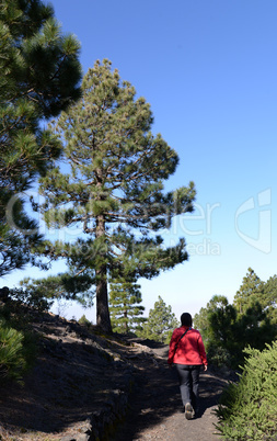 Auf der Vulkanroute, La Palma