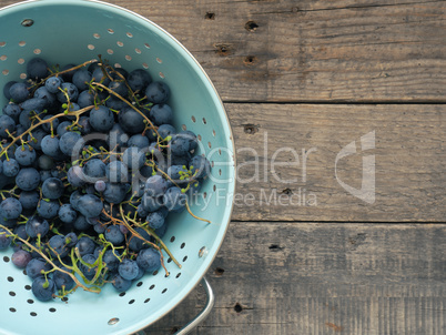 Fresh organic grapes, self supply