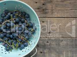 Fresh organic grapes, self supply