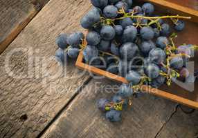 Tasty blue grapes in a wooden box