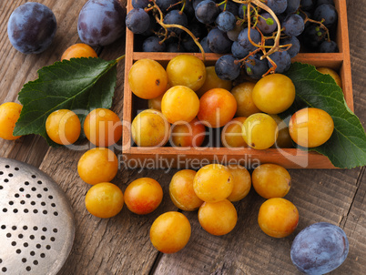 Mirabelles, plums and grapes, healthy food