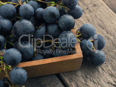 Tasty blue grapes in a wooden box