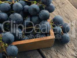 Tasty blue grapes in a wooden box