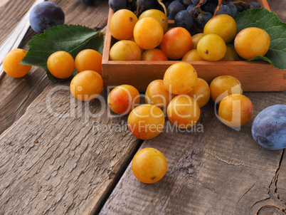 Mirabelles, plums and grapes, healthy food