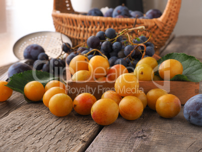 Mirabelles, plums and grapes, healthy food