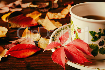 Closeup of a cup of tea