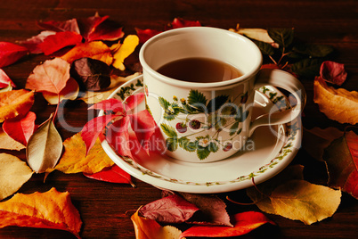 Cup of tea and autumnal foliage