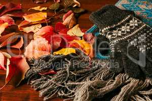 Gloves, scarf and autumnal foliage