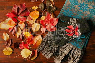 Gloves, scarf and autumnal foliage seen from above