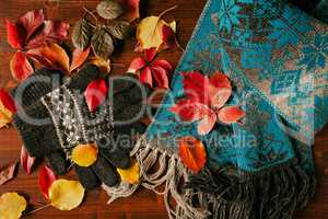 Gloves, scarf and colorful autumnal foliage seen from above