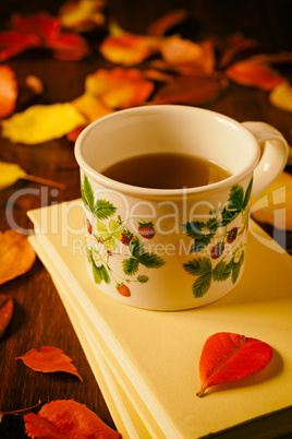 Cup of tea, books and colorful autumnal foliage