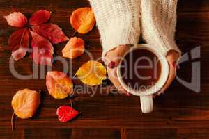 Woman hands holding teacup seen from above