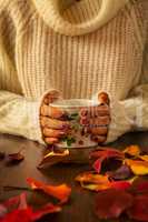 Woman hands holding teacup and autumnal foliage