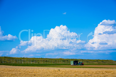 harvesting on the fields in summertime