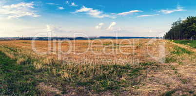 Rural Autumn landscape