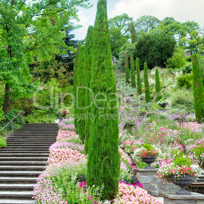 Flower garden and other plants, a staircase and a waterfall on t