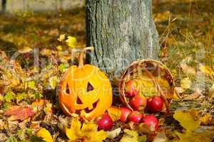 Halloween pumpkin-head against a background of an autumn forest