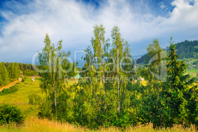 Slopes of mountains, coniferous trees and clouds in the evening