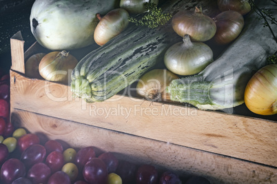 Autumn harvest: zucchini, yellow and red plums, onions