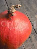 Organic hokkaido pumpkin