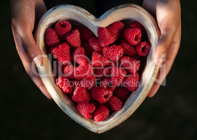 Young Woman Hands Holding Heart Shaped Bowl of Raspberries