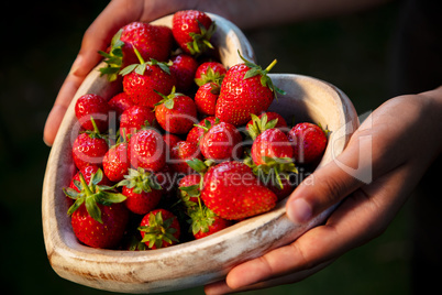Young Woman Hands Holding Heart Shaped Bowl of Strawberries