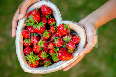 Young Woman Hands Holding Heart Shaped Bowl of Strawberries